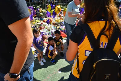 DSC_7176 (Large).JPG